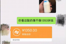 陕西遇到恶意拖欠？专业追讨公司帮您解决烦恼